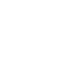 Haus Icon